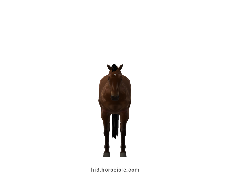 Agaba Dark Horse Sepia Brown Coat (front view)
